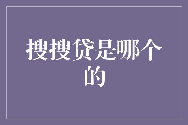 搜搜贷是哪个的