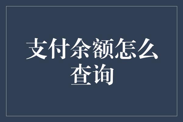 支付余额怎么查询