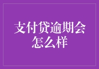 逾期不还：支付贷的后果与风险评估