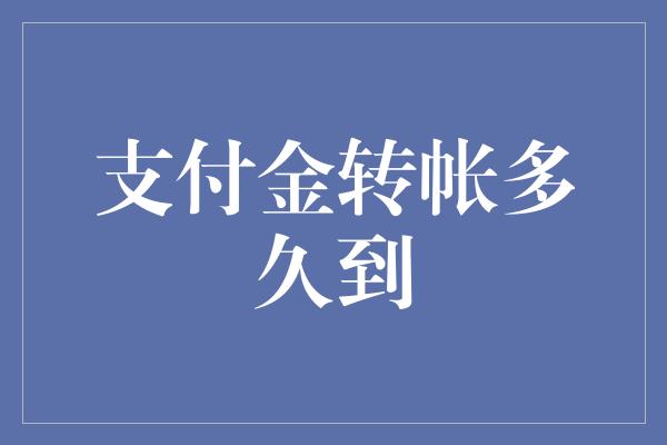 支付金转帐多久到