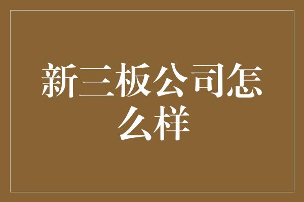 新三板公司怎么样