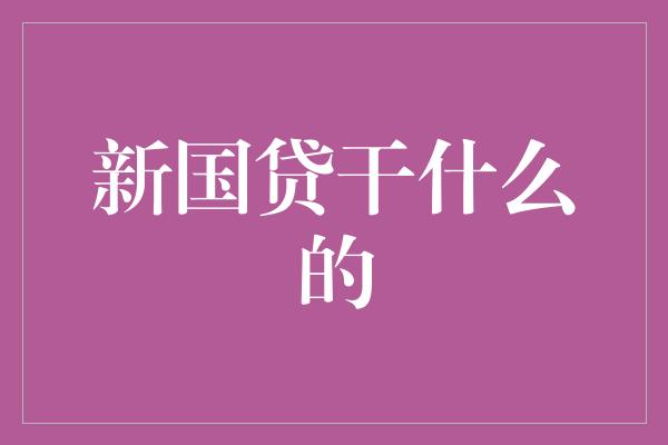 新国贷干什么的