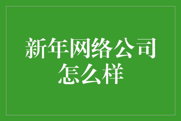 新年网络公司怎么样