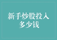 炒股新手大举投入，100元还是100万？