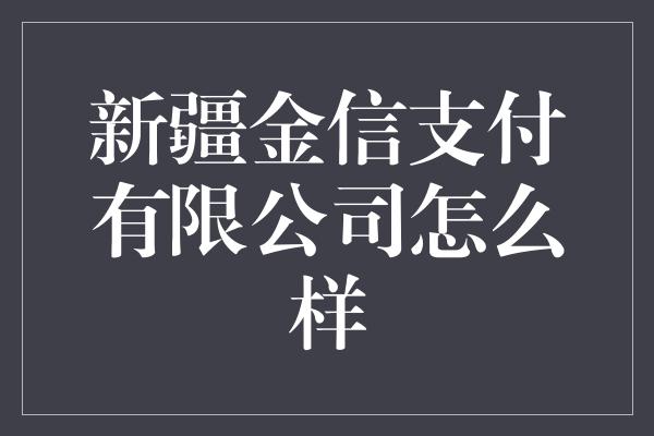 新疆金信支付有限公司怎么样