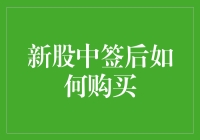 新股中签后如何购买：全面指南与策略思考