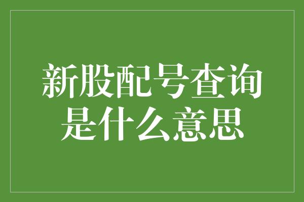 新股配号查询是什么意思