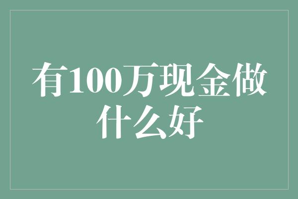 有100万现金做什么好