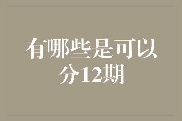 有哪些是可以分12期