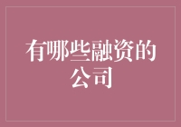 多元化视角下的融资公司：洞察资本市场的多元生态