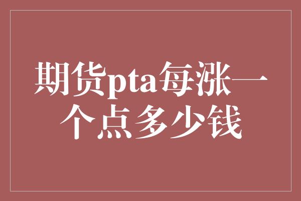 期货pta每涨一个点多少钱