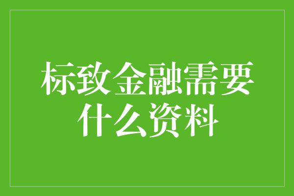 标致金融需要什么资料