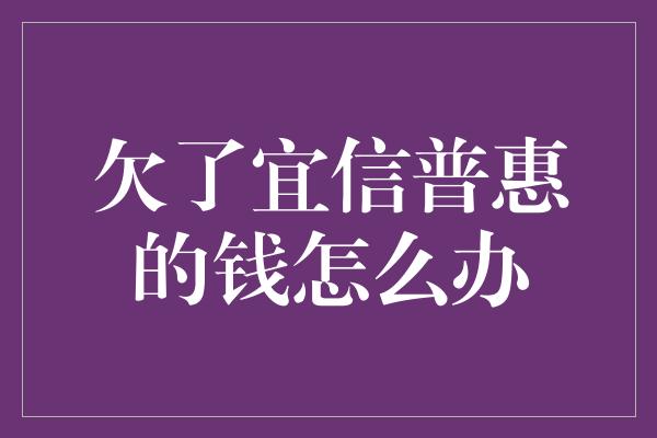 欠了宜信普惠的钱怎么办