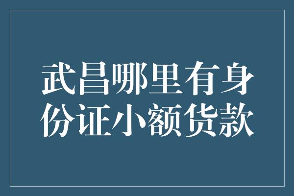 武昌哪里有身份证小额货款