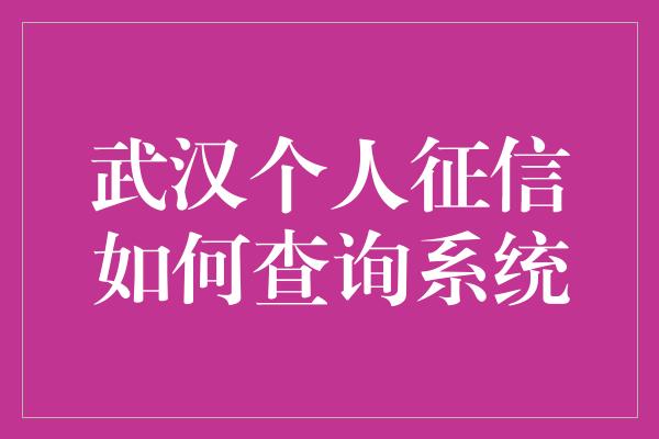 武汉个人征信如何查询系统