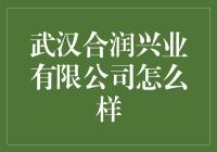 武汉合润兴业有限公司：商业创新的领航者