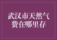 天然气费存哪里了？武汉市民的找钱大作战