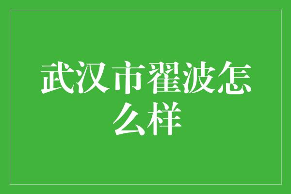 武汉市翟波怎么样