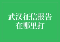 武汉市民的信用报告查询指南——从东湖到江汉，一场信用的奇妙旅行