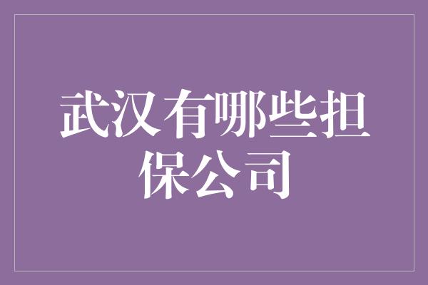 武汉有哪些担保公司