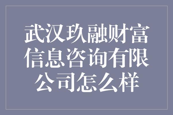 武汉玖融财富信息咨询有限公司怎么样