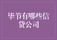 毕节的信贷公司：四个字的公司名，两句话的业务介绍