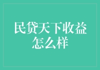 民贷天下收益分析与风险评估报告