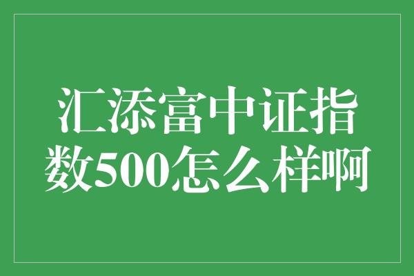 汇添富中证指数500怎么样啊