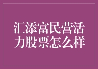 汇添富民营活力股票基金深度解析：投资新星还是风险陷阱？