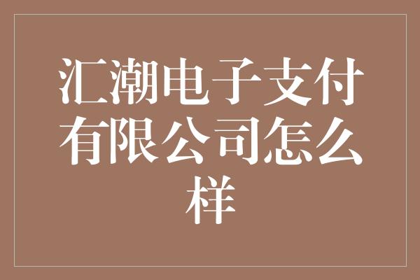 汇潮电子支付有限公司怎么样