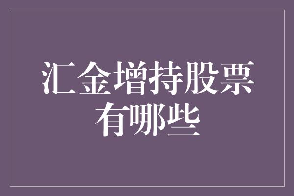 汇金增持股票有哪些