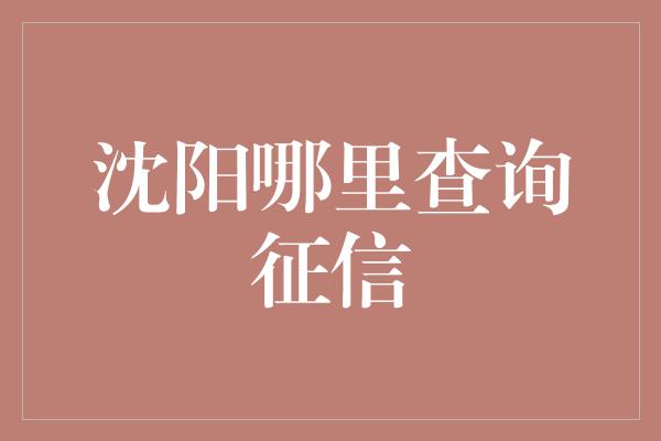 沈阳哪里查询征信