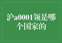 沪A0001领：是哪个国家的车牌？莫非是外星车牌？