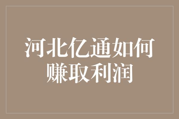 河北亿通如何赚取利润