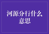 河源分行究竟是啥？看懂它，让你的财富飞沙走石！