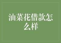 油菜花借款：互联网金融的创新尝试与风险警示