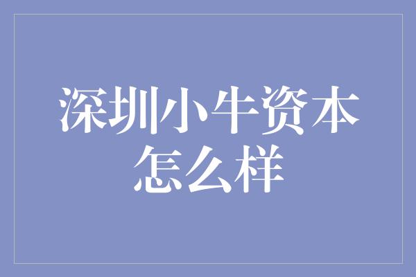 深圳小牛资本怎么样