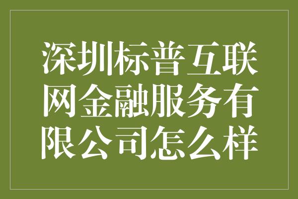 深圳标普互联网金融服务有限公司怎么样