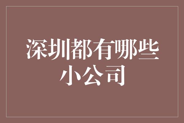 深圳都有哪些小公司