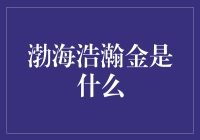 渤海浩瀚金：海洋资源的新型探索与开发