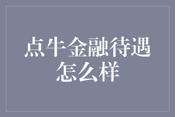 点牛金融待遇怎么样