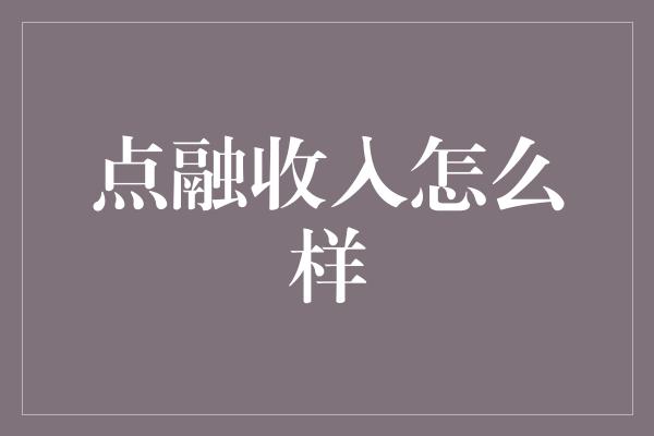 点融收入怎么样