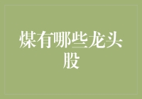 煤炭行业龙头股分析：探索煤炭能源的多元化投资机遇