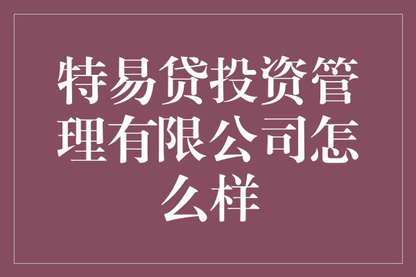 特易贷投资管理有限公司怎么样