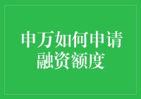 申万如何申请融资额度：详尽指南与策略解析