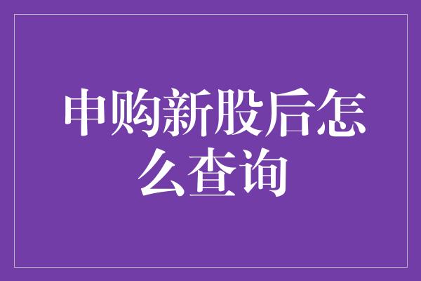 申购新股后怎么查询