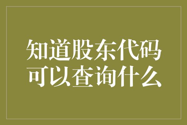 知道股东代码可以查询什么