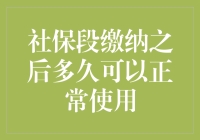 社保段缴纳之后多久可以正常使用？——你是不是也开始焦虑了呢？