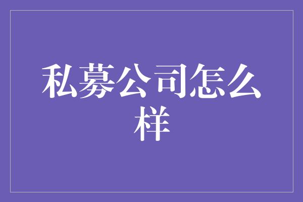 私募公司怎么样