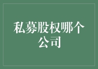 私募股权市场：寻找最具投资价值的企业